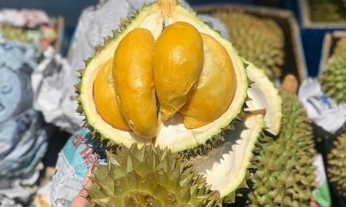 Cơm Sầu Thái Cấp Đông, Túi Hút Chân Không 500gr - Đặc Sản Ngon Lành